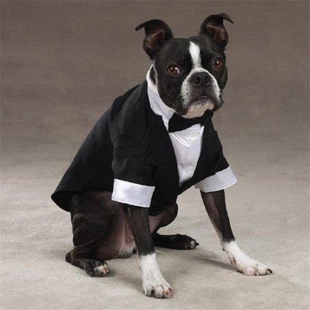 EAST SIDE COLLECTION East Side Collection ZM1010 16 ESC Yappily Ever After Groom Tuxedo Med ZM1010 16